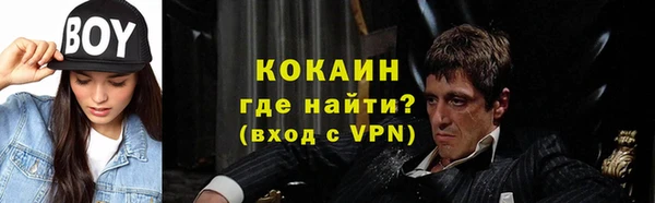 прущие крисы Горняк