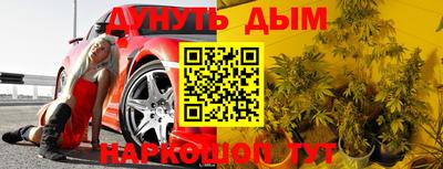 гидра Краснодар