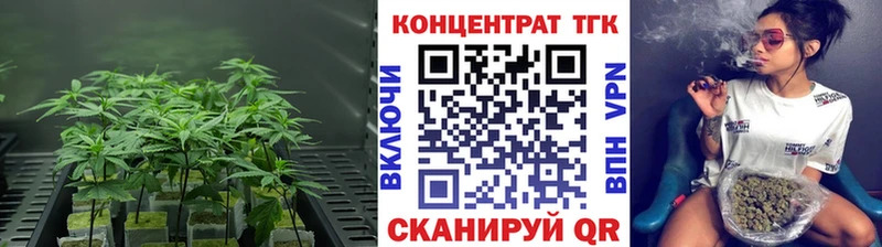 как найти Гусев ТГК Wax