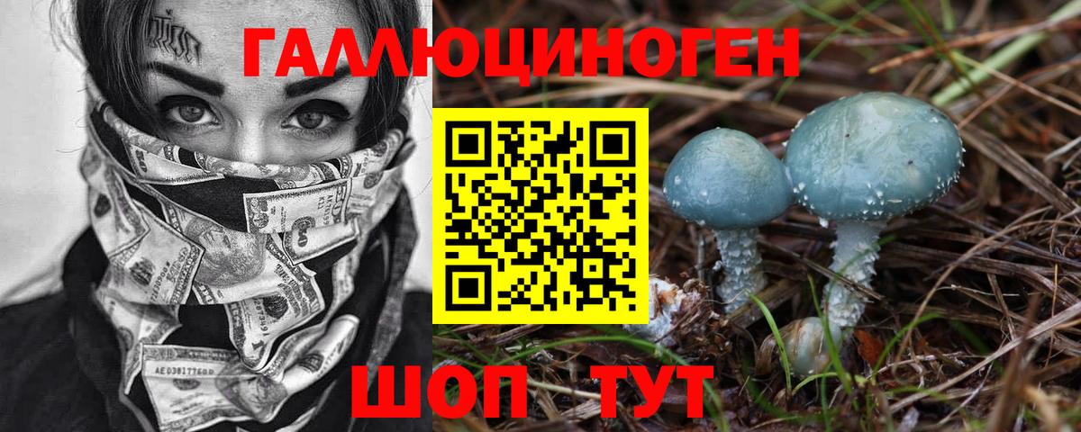 Псилоцибиновые грибы Cubensis Гусев