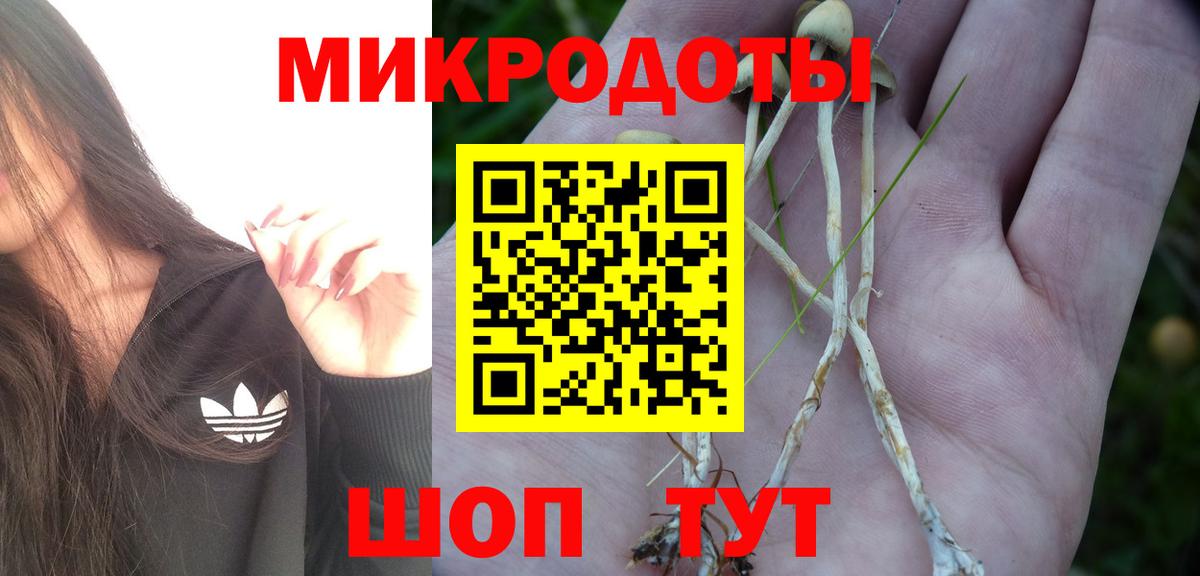 Псилоцибиновые грибы мицелий  Вход с VPN  Гусев 